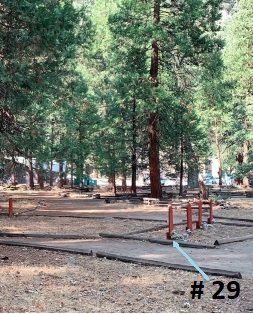 Grave 29 is closest to you as you enter the cemetery.